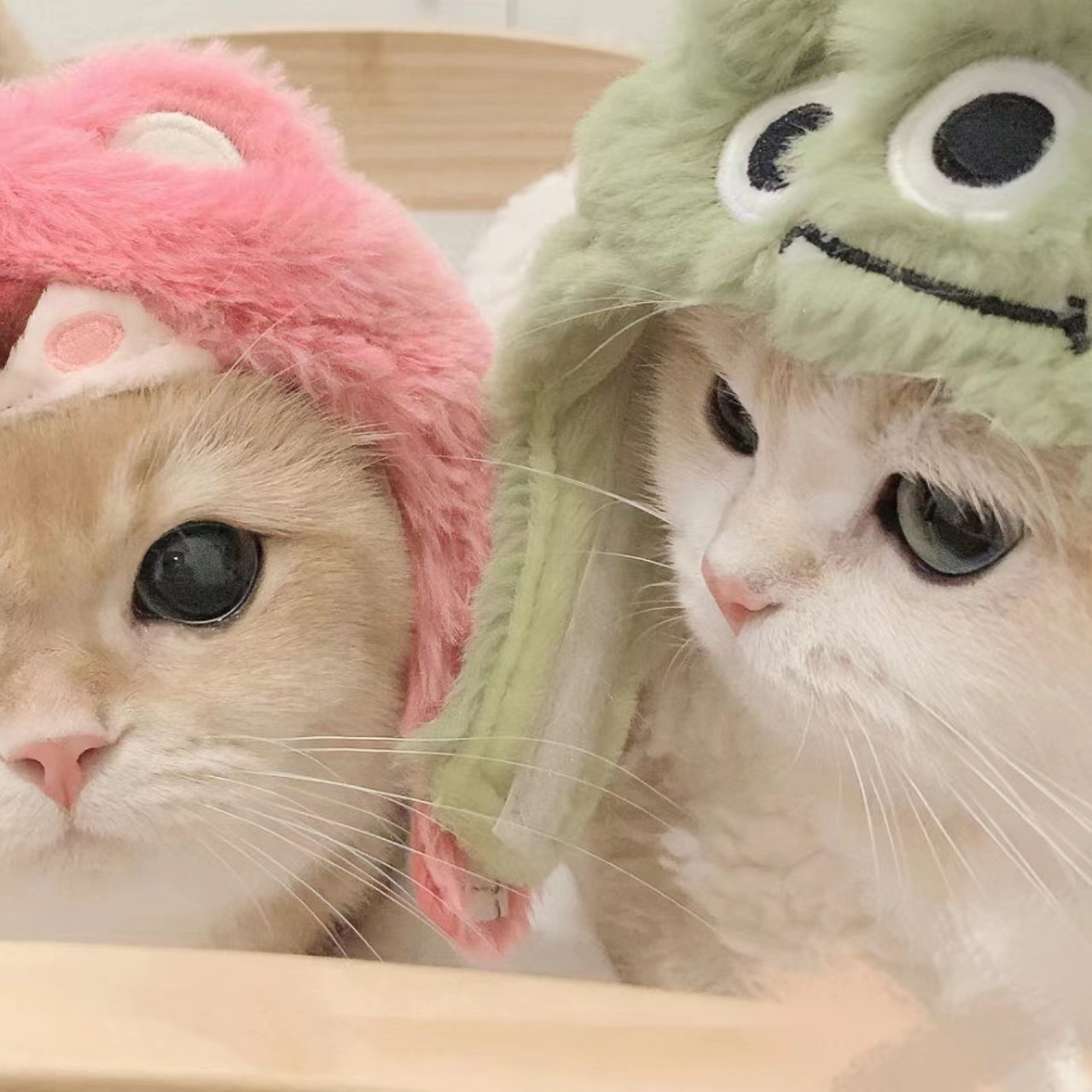 久播影院免费高清电影电视剧APPAPP应用