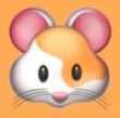 WWW,fff26·COM网站APPAPP应用