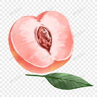 石榴视频下载APP应用