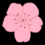 WWW,646av·COM网站APPAPP应用